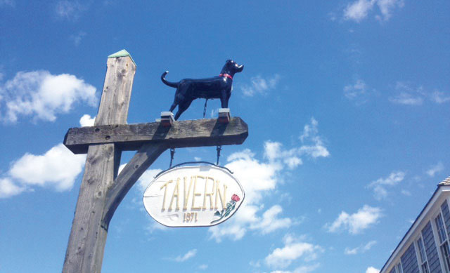 MV-Black-Dog-Tarvern-Sign-LR